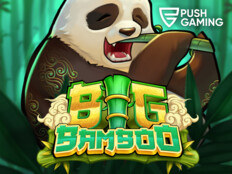 Springbok casino bonus codes 202323